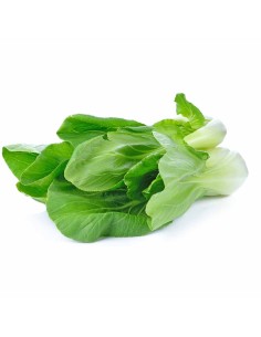 Bietola da costa biologica: acquista online su FruttaWeb.com