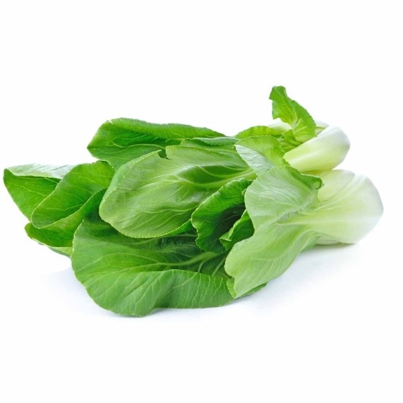 Bietola da costa biologica: acquista online su FruttaWeb.com Bietola da costa biologica: acquista online su FruttaWeb.com