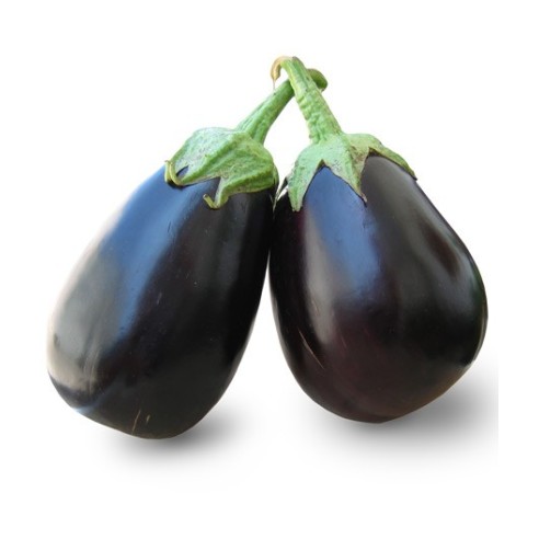 Melanzana Globosa Biologica: Acquista Online su fruttaWeb