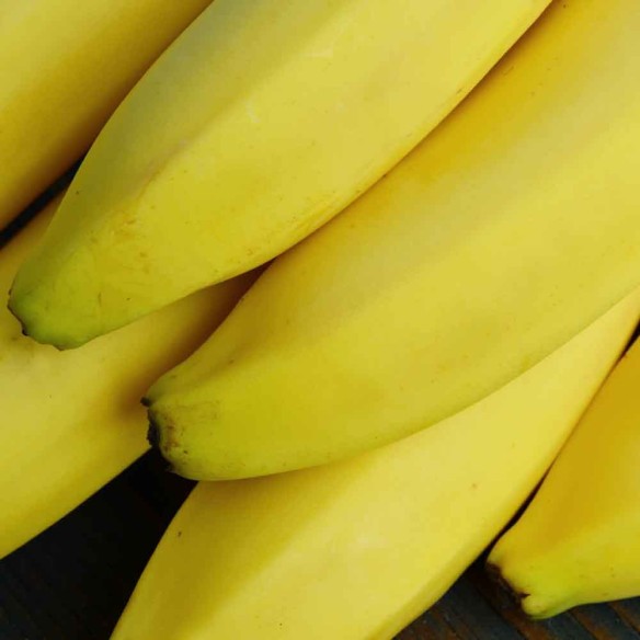 Banane biologica Almaverde Bio: acquista online su FruttaWeb.com