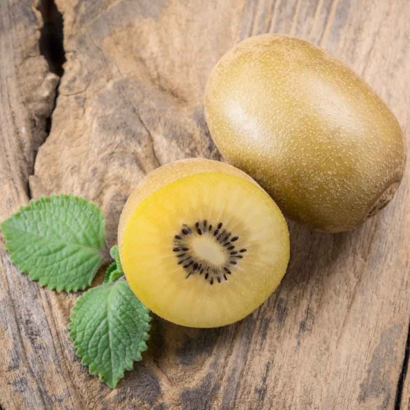 kiwi giallo biologico Soreli "Almaverde Bio": acquista online su FruttaWeb.com kiwi giallo biologico Soreli "Almaverde Bio": acquista online su FruttaWeb.com