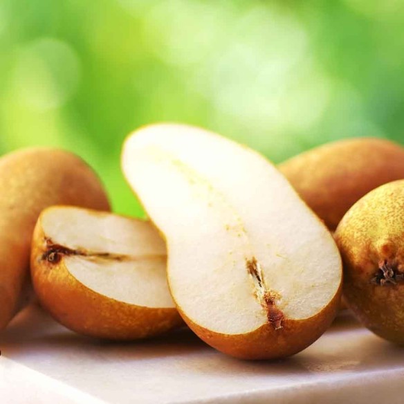 Pere italiane biologiche "Almaverde Bio" in vendita su FruttaWeb