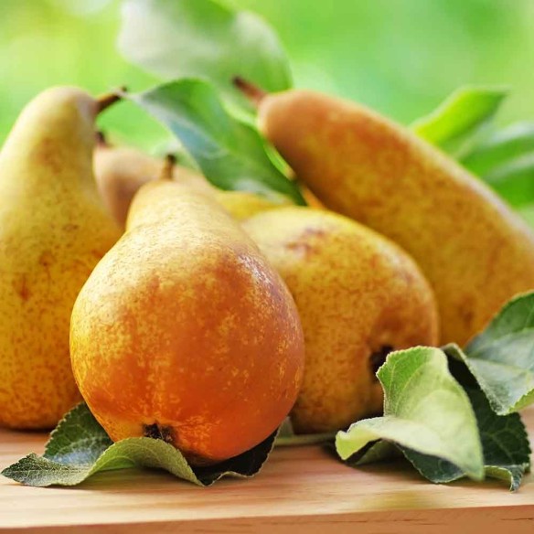 Pere italiane biologiche "Almaverde Bio" in vendita su FruttaWeb