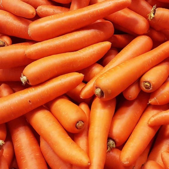 Carote  Fresche Biologiche "Almaverde Bio" - acquista online su FruttaWeb