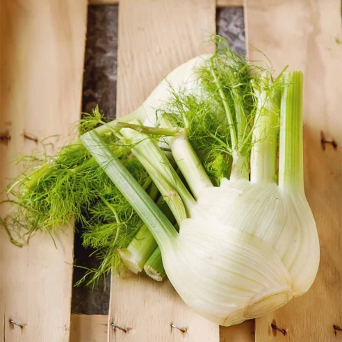 Finocchio Fresco Biologico "Almaverde Bio"