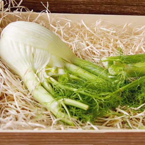 Finocchio Fresco Biologico "Almaverde Bio"