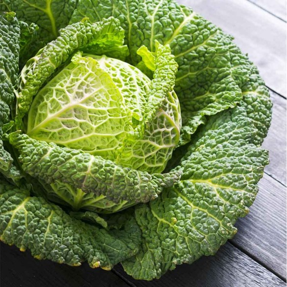 Cavolo Verza Verde "- acquista online su FruttaWeb
