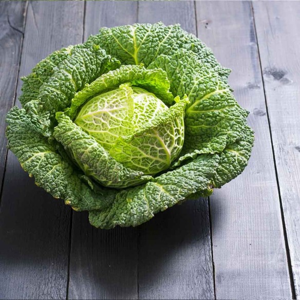 Cavolo Verza Verde "- acquista online su FruttaWeb