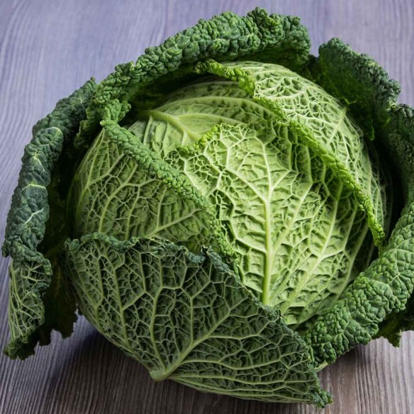 Cavolo Verza Verde "- acquista online su FruttaWeb
