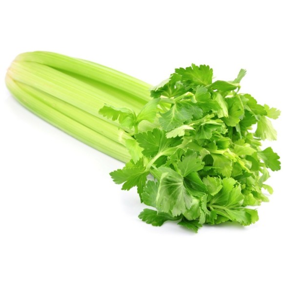 Sedano verde fresco biologico "Almaverde Bio" 1Kg Sedano verde fresco biologico "Almaverde Bio" 1Kg
