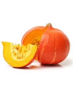 Zucca Hokkaido biologica "Almaverde Bio"