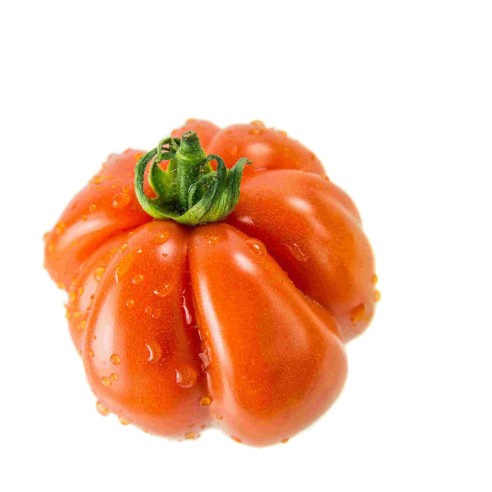 Pomodoro cuore di bue Almaverde Bio - acquista online su FruttaWeb caratteristiche