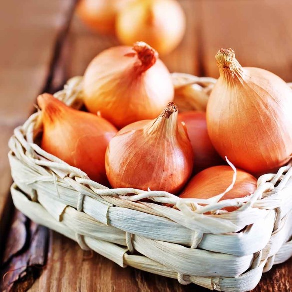cipolla dorata biologica "almaverde bio" - acquista online su FruttaWeb.com cipolla dorata biologica "almaverde bio" - acquista online su FruttaWeb.com