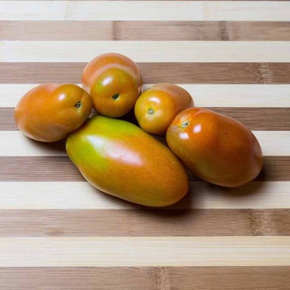 Pomodoro Oblungo Fresco Biologico "Almaverde Bio"