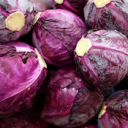 Acquista ora su fruttaweb il cavolo cappuccio rosso biologico "almaverde bio"